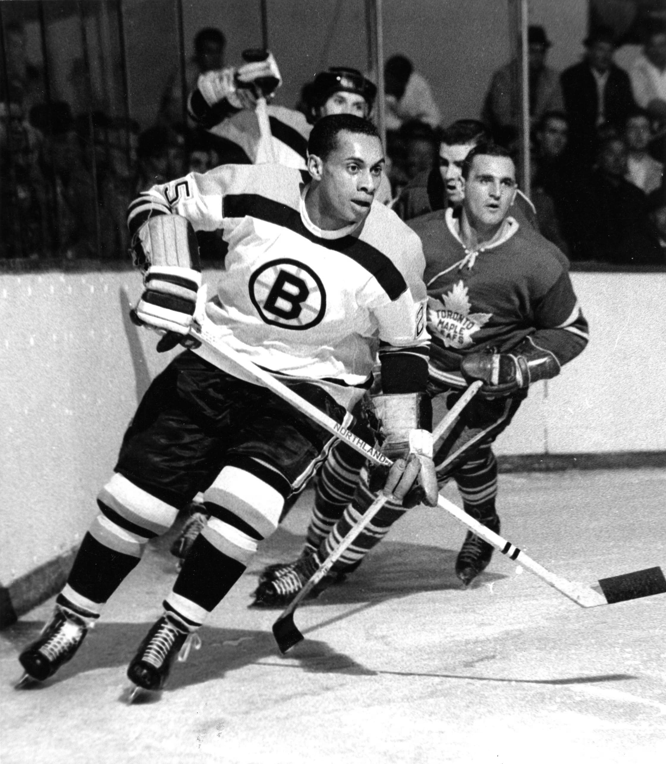 Congressional gold medal sought for NHL player O'Ree